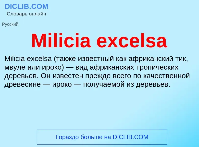 Was ist Milicia excelsa - Definition