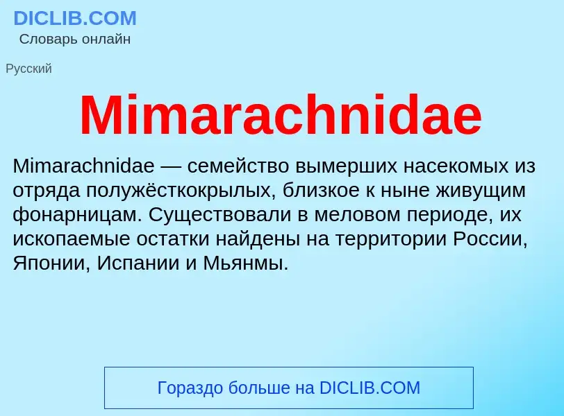 Was ist Mimarachnidae - Definition