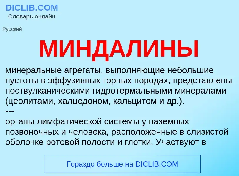 What is МИНДАЛИНЫ - definition