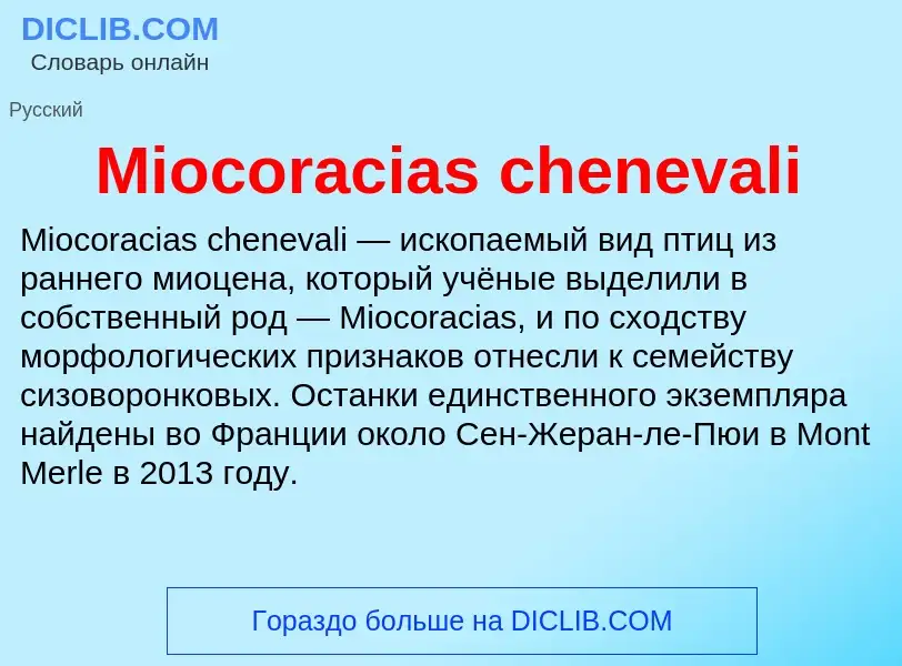 Was ist Miocoracias chenevali - Definition