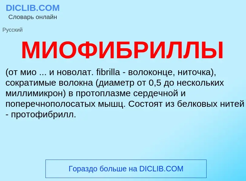 What is МИОФИБРИЛЛЫ - meaning and definition