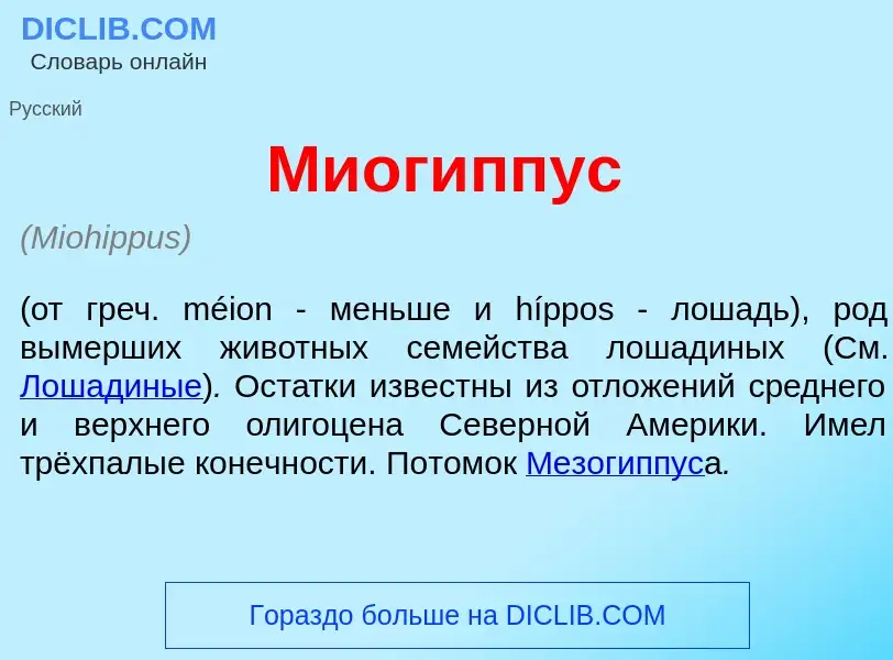 Что такое Миог<font color="red">и</font>ппус - определение