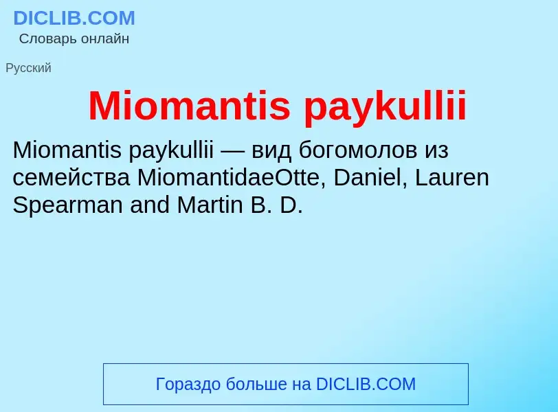 Was ist Miomantis paykullii - Definition