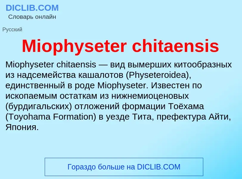 Was ist Miophyseter chitaensis - Definition