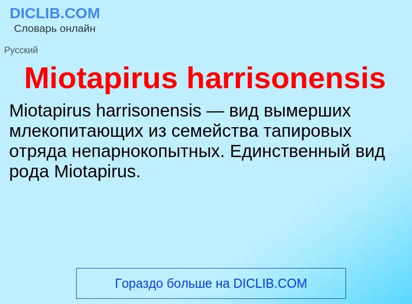 Was ist Miotapirus harrisonensis - Definition