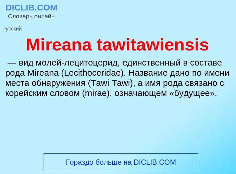 Was ist Mireana tawitawiensis - Definition