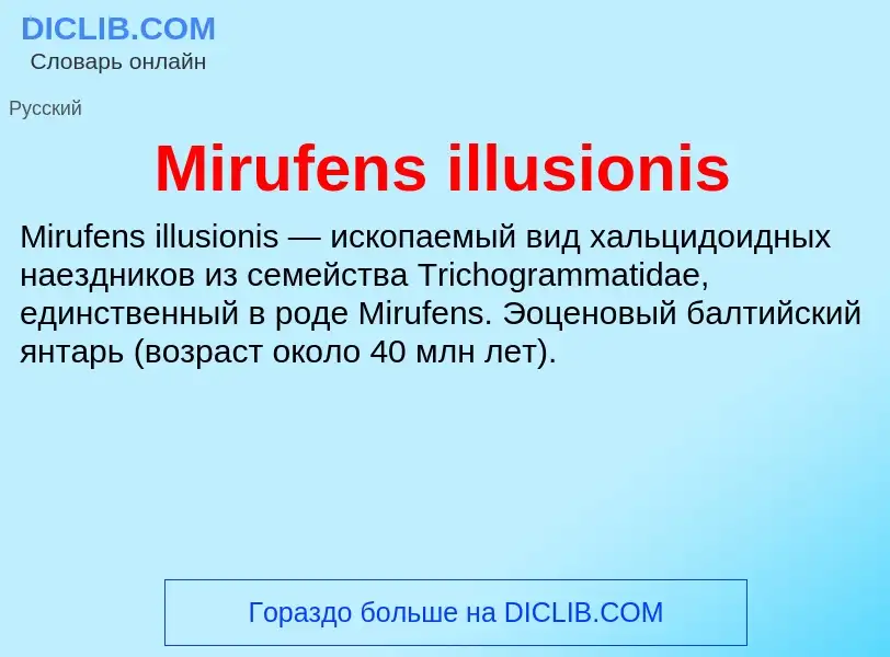 Was ist Mirufens illusionis - Definition