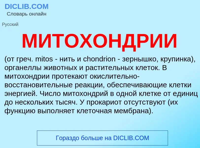 What is МИТОХОНДРИИ - meaning and definition