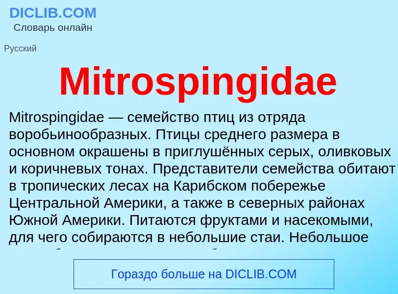 Was ist Mitrospingidae - Definition