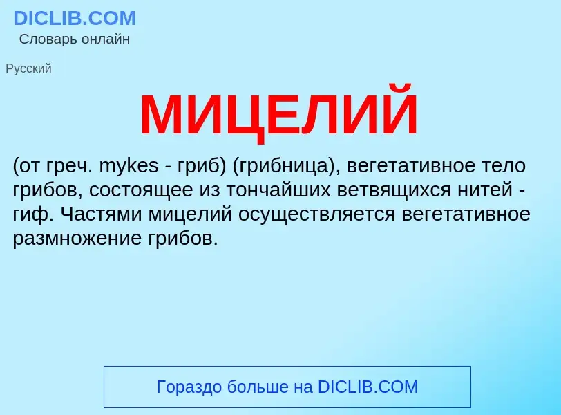 Что такое МИЦЕЛИЙ - определение