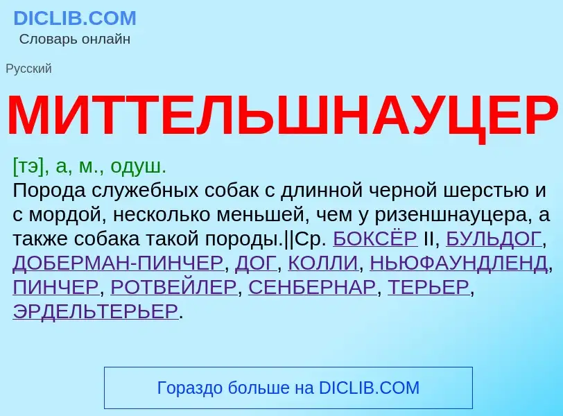 What is МИТТЕЛЬШНАУЦЕР - definition