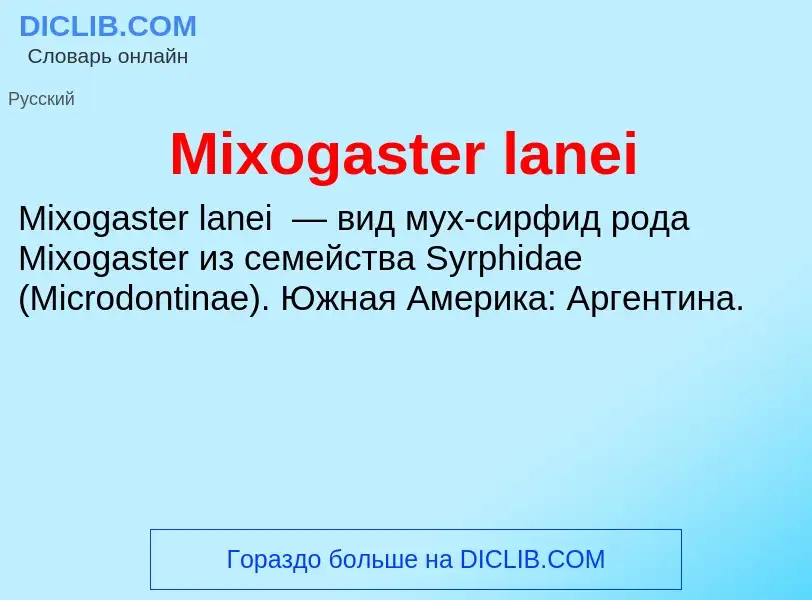 Was ist Mixogaster lanei - Definition