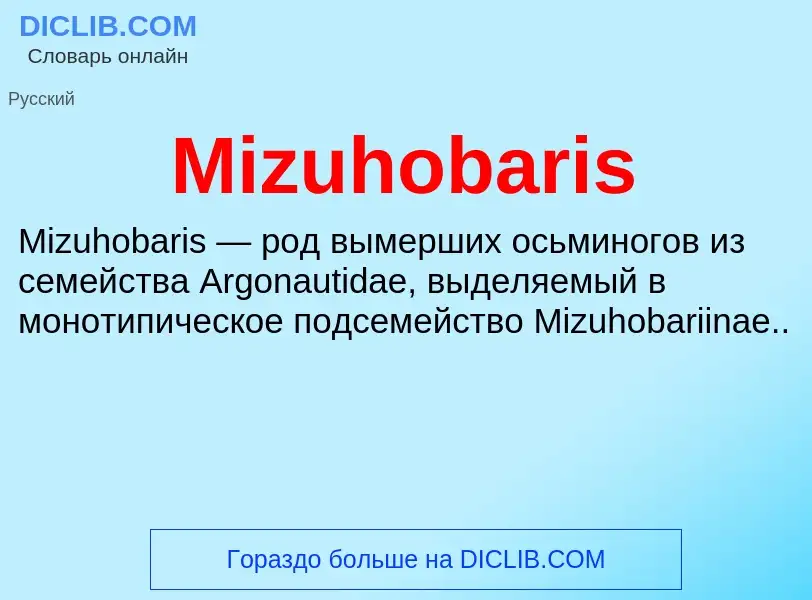 Was ist Mizuhobaris - Definition