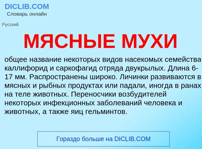 Что такое МЯСНЫЕ МУХИ - определение