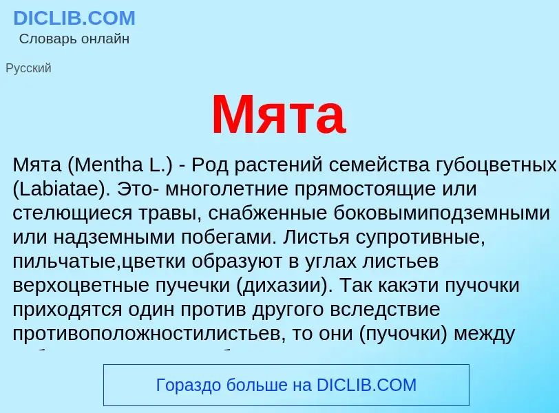 Что такое Мята - определение