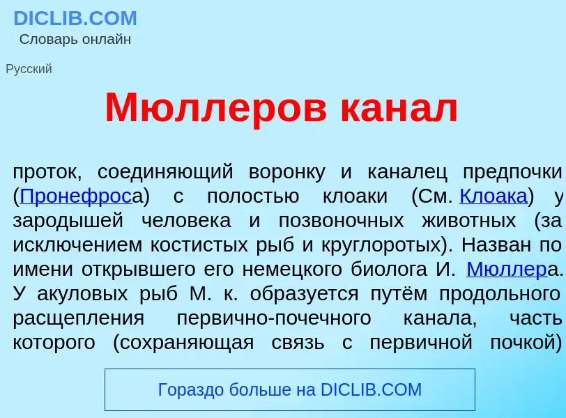 Che cos'è М<font color="red">ю</font>ллеров кан<font color="red">а</font>л - definizione