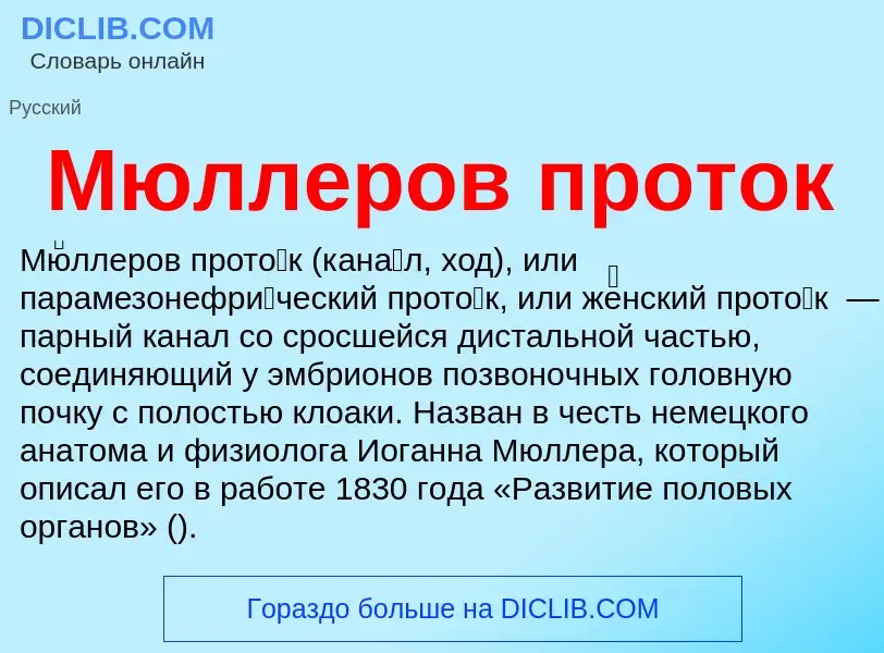 Что такое Мюллеров проток - определение