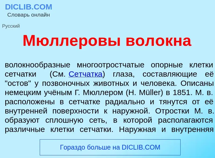 Qu'est-ce que М<font color="red">ю</font>ллеровы вол<font color="red">о</font>кна - définition