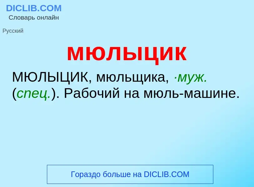 Что такое мюлыцик - определение