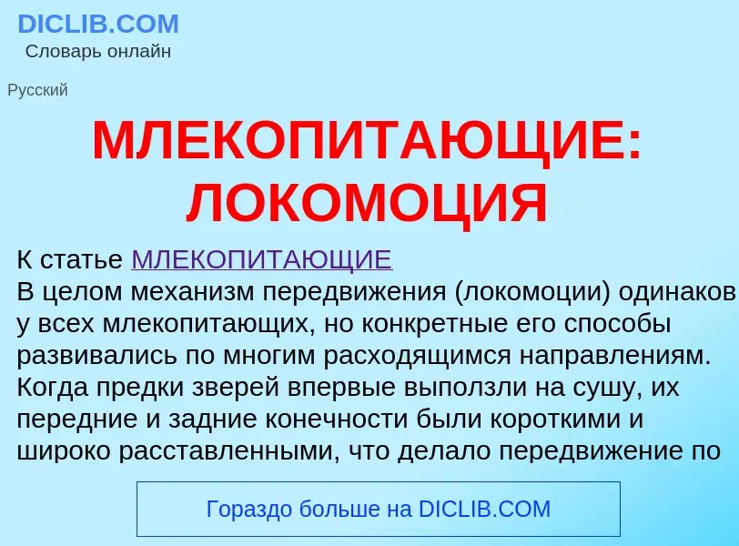 Was ist МЛЕКОПИТАЮЩИЕ: ЛОКОМОЦИЯ - Definition