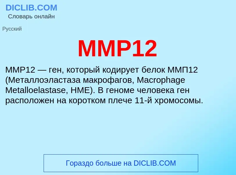 What is MMP12 - meaning and definition