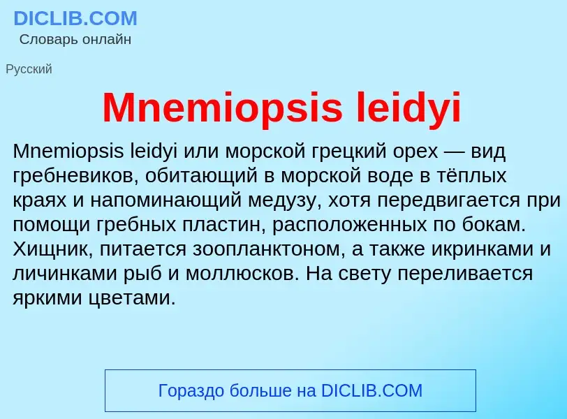 Was ist Mnemiopsis leidyi - Definition