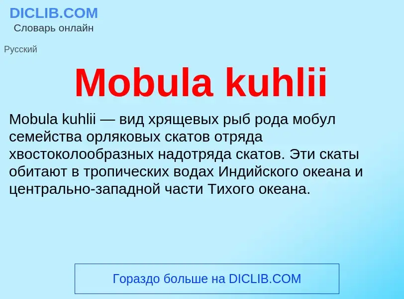 Was ist Mobula kuhlii - Definition