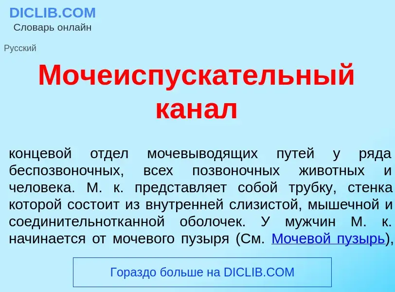 Qu'est-ce que Мочеиспуск<font color="red">а</font>тельный кан<font color="red">а</font>л - définitio