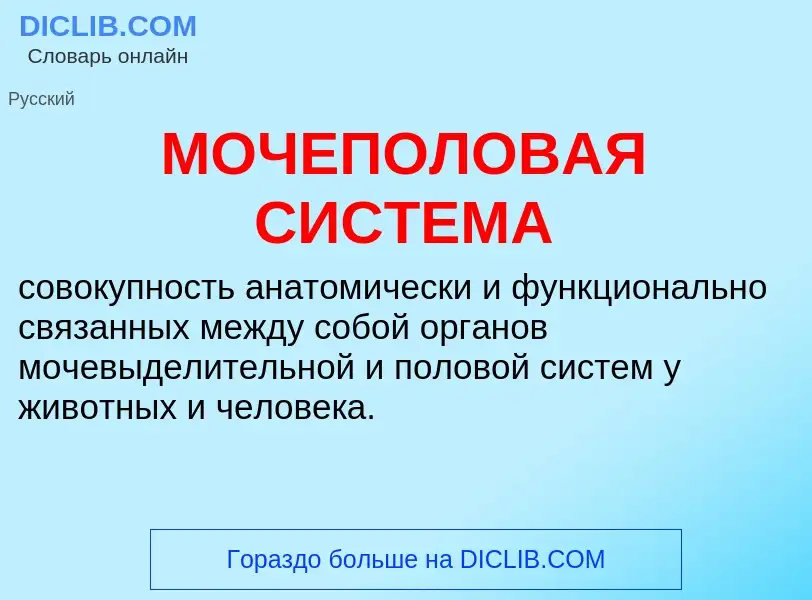 Что такое МОЧЕПОЛОВАЯ СИСТЕМА - определение