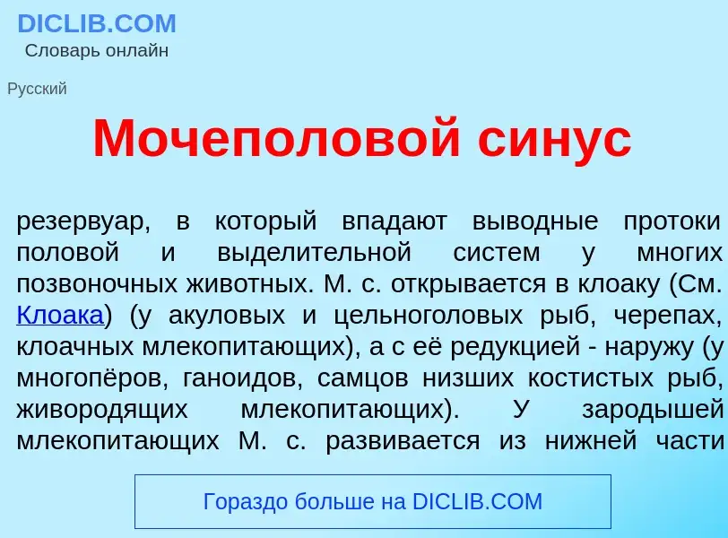 What is Мочеполов<font color="red">о</font>й с<font color="red">и</font>нус - definition