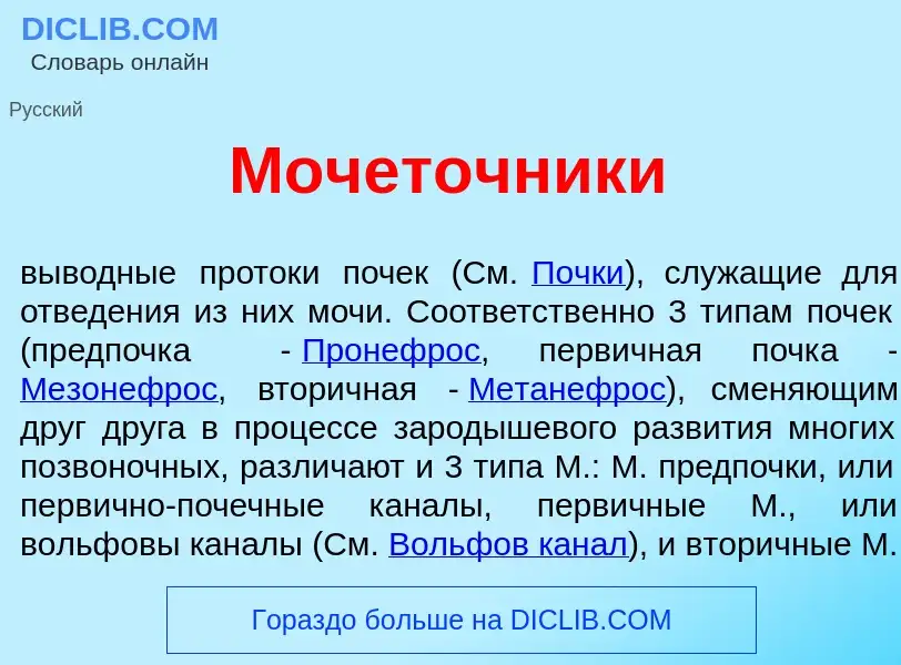 Что такое Мочет<font color="red">о</font>чники - определение