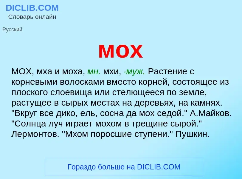 Что такое мох - определение