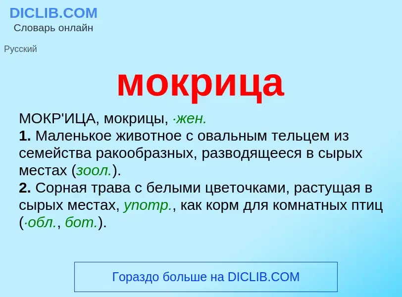 ¿Qué es мокрица? - significado y definición