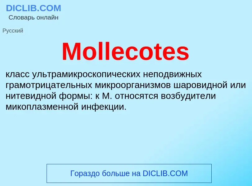 Was ist Mollecotes - Definition