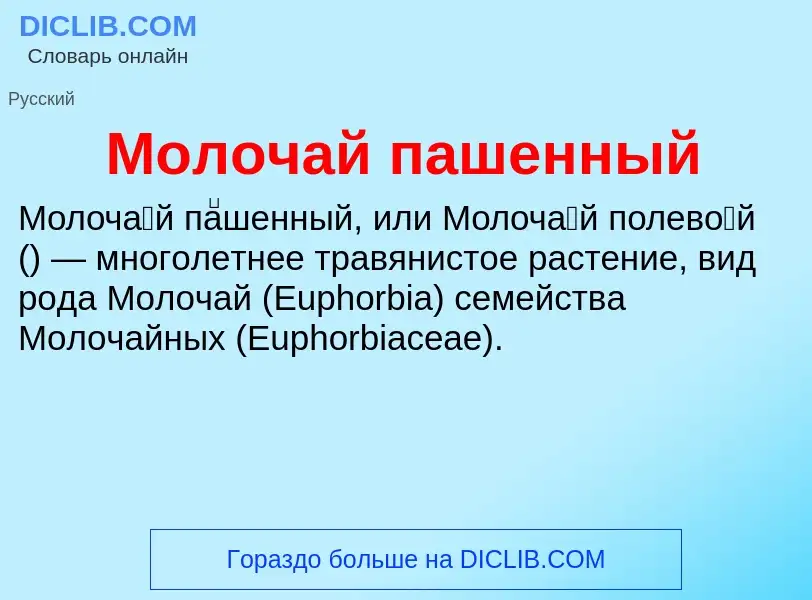 ¿Qué es Молочай пашенный? - significado y definición