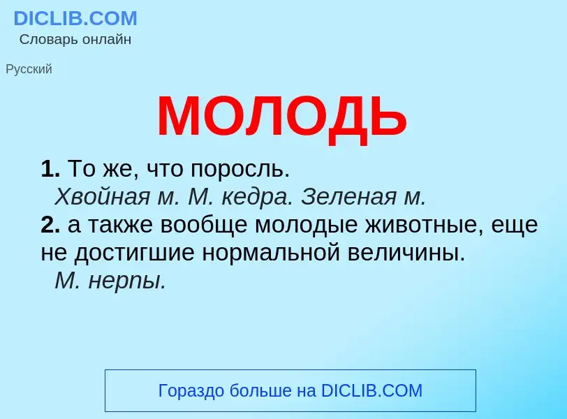 Wat is МОЛОДЬ - definition