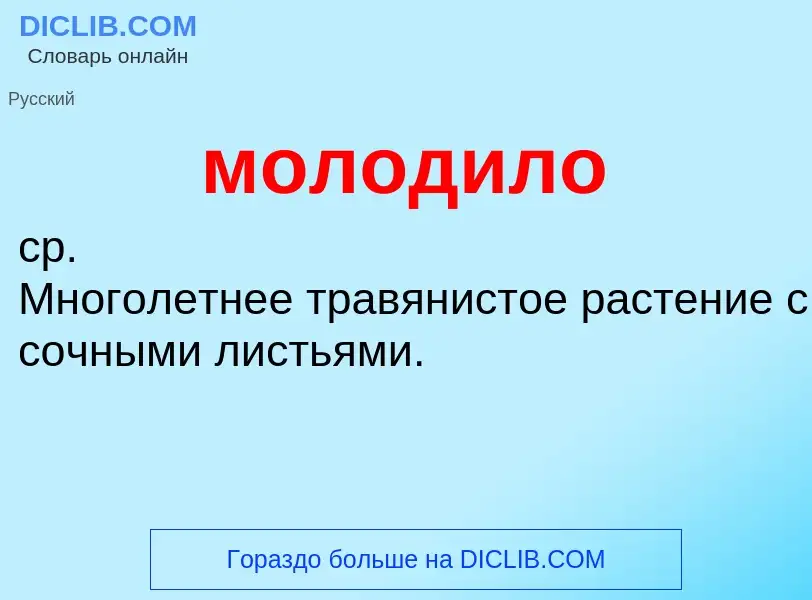 O que é молодило - definição, significado, conceito
