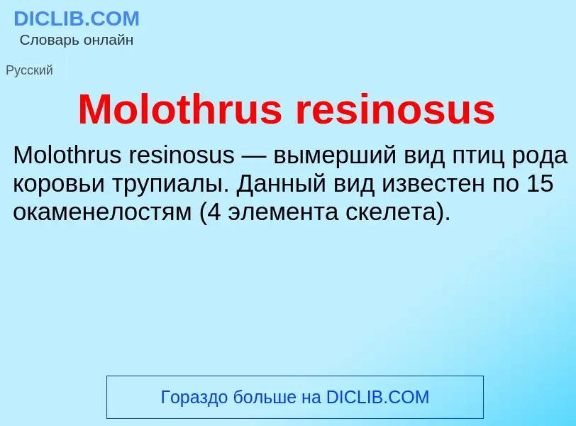 Was ist Molothrus resinosus - Definition