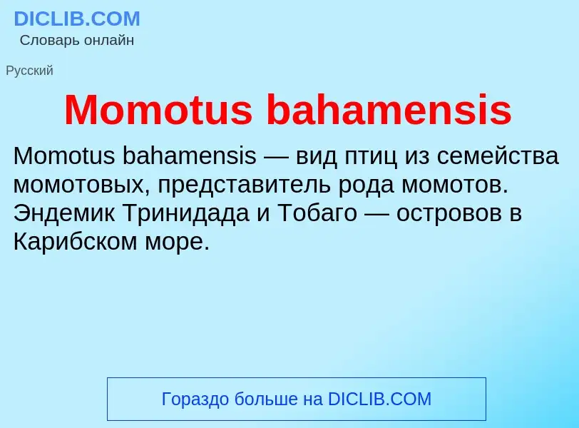 Was ist Momotus bahamensis - Definition