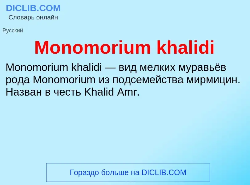 Что такое Monomorium khalidi - определение