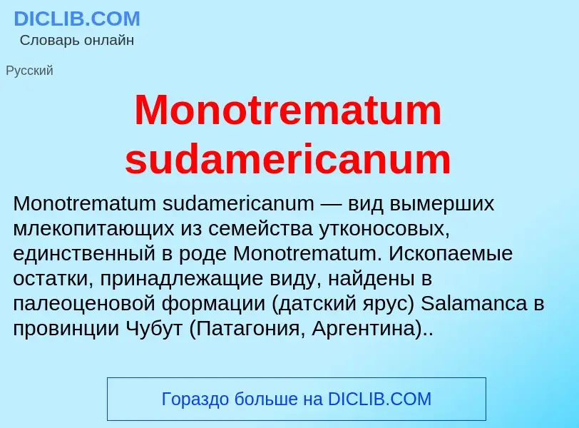 Was ist Monotrematum sudamericanum - Definition