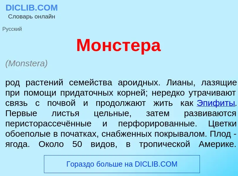 What is М<font color="red">о</font>нстера - meaning and definition