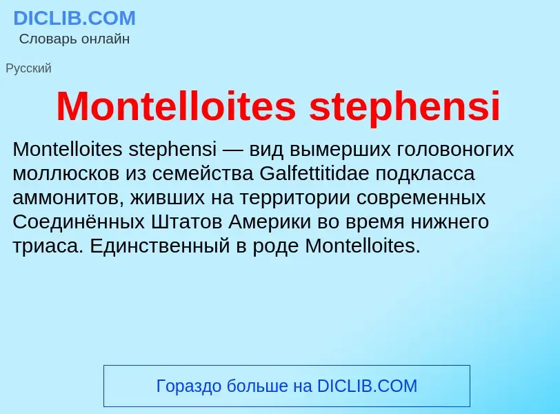 Что такое Montelloites stephensi - определение