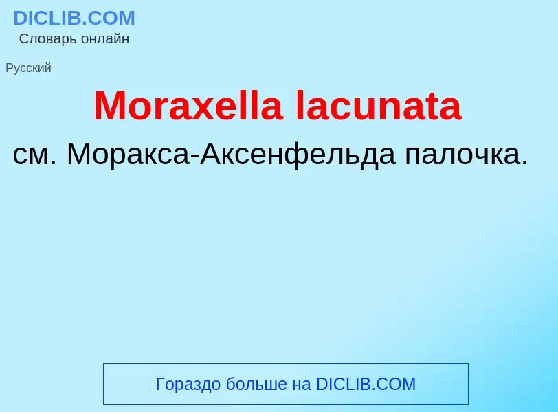 Что такое Moraxella lacunata - определение