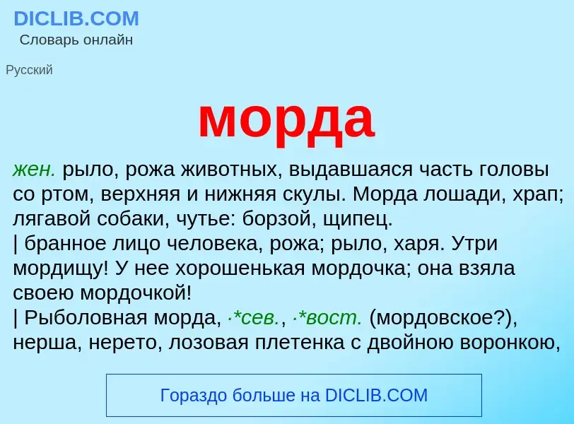 Что такое морда - определение