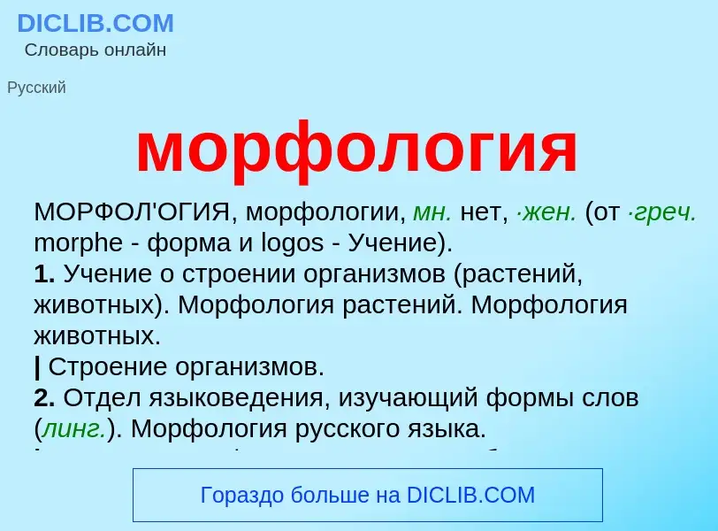 Что такое морфология - определение