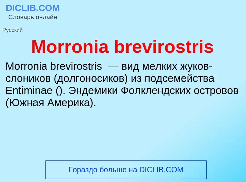 Что такое Morronia brevirostris - определение