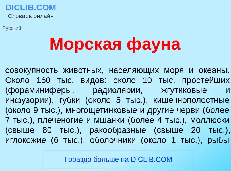 Что такое Морск<font color="red">а</font>я ф<font color="red">а</font>уна - определение