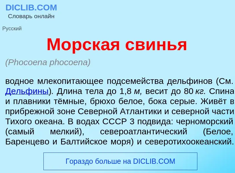 O que é Морск<font color="red">а</font>я свинь<font color="red">я</font> - definição, significado, c