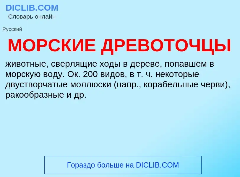 What is МОРСКИЕ ДРЕВОТОЧЦЫ - definition